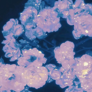 四虎成人免费大片在线
